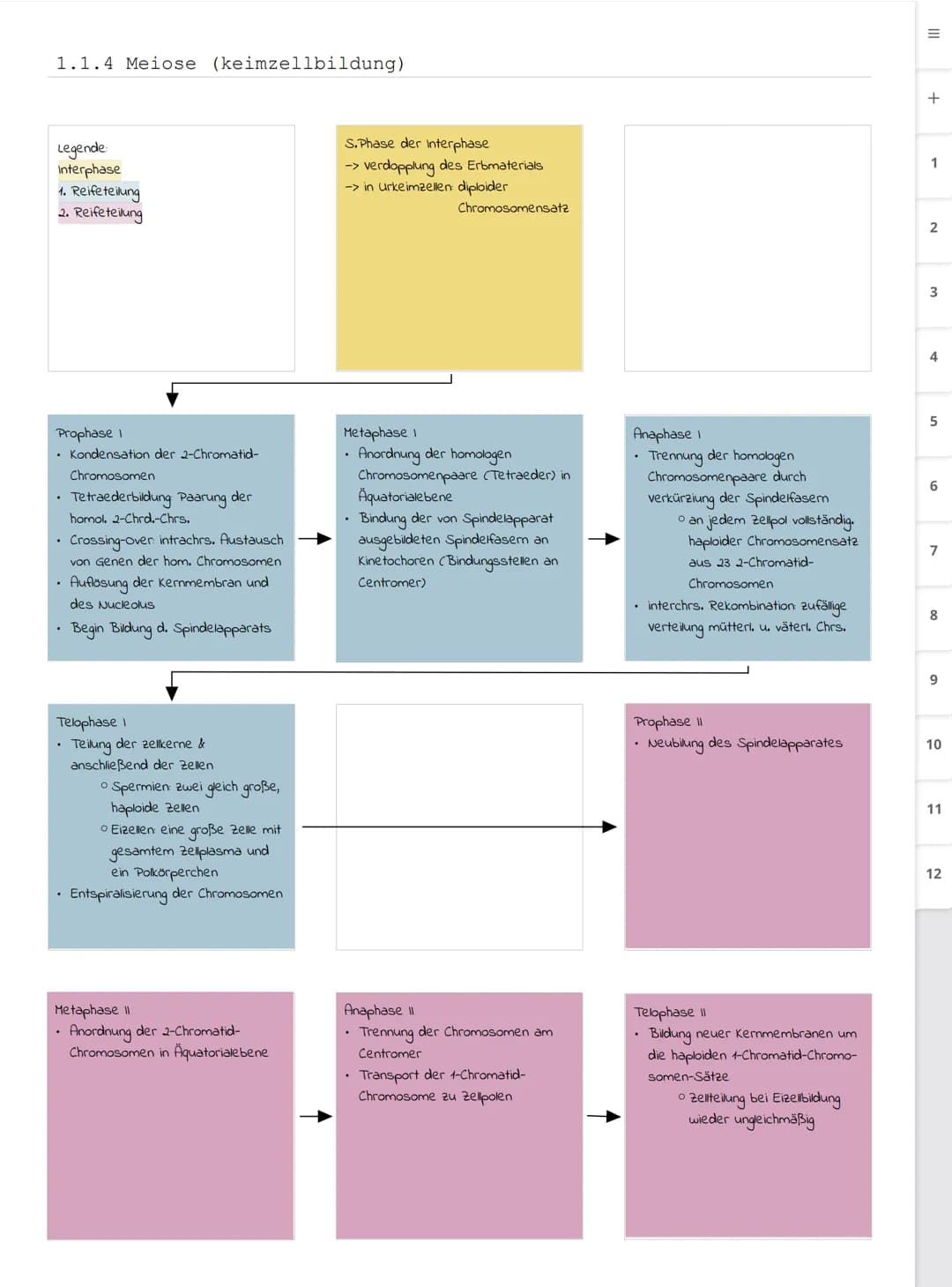 Biologie LK
Abiturvorbereitung abitur.nrw
Leistungskurs
Genetik
Meiose und Rekombination
Analyse von Familienstammbäu-
men
Proteinbiosynthes