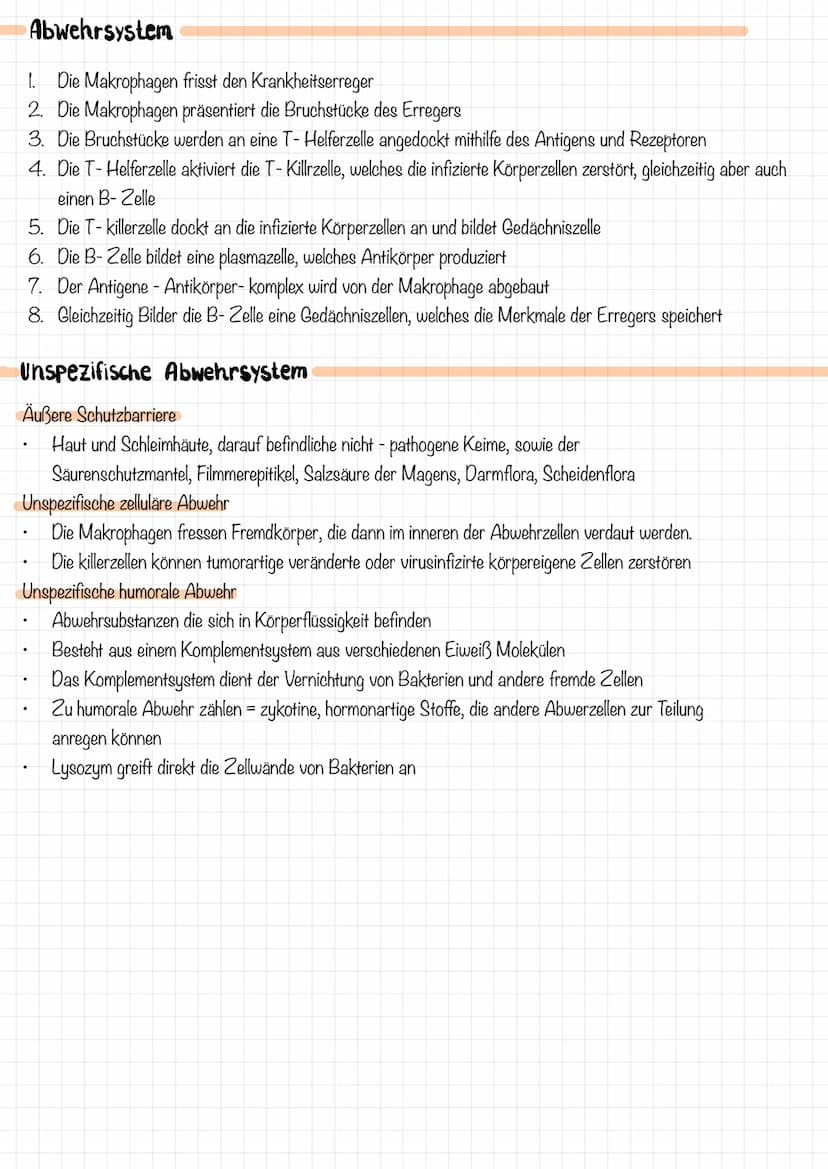 immunsystem
1. Das Immunsystem versucht, den Körper nach
dem ersten eindringen bestimmter
Mikroorganismen durch die Reaktion der
Lymphozyten