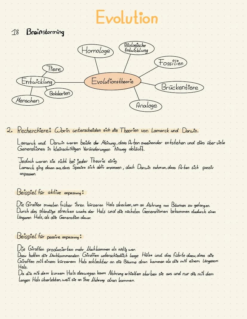 Portfolio:
Evolution
$8
发
Von: Patrycja Szura 18 Brainstorming
Tiere
Entwicklung
Menschen
Bakterien
Evolution
Biologische
Homologe Entwicklu