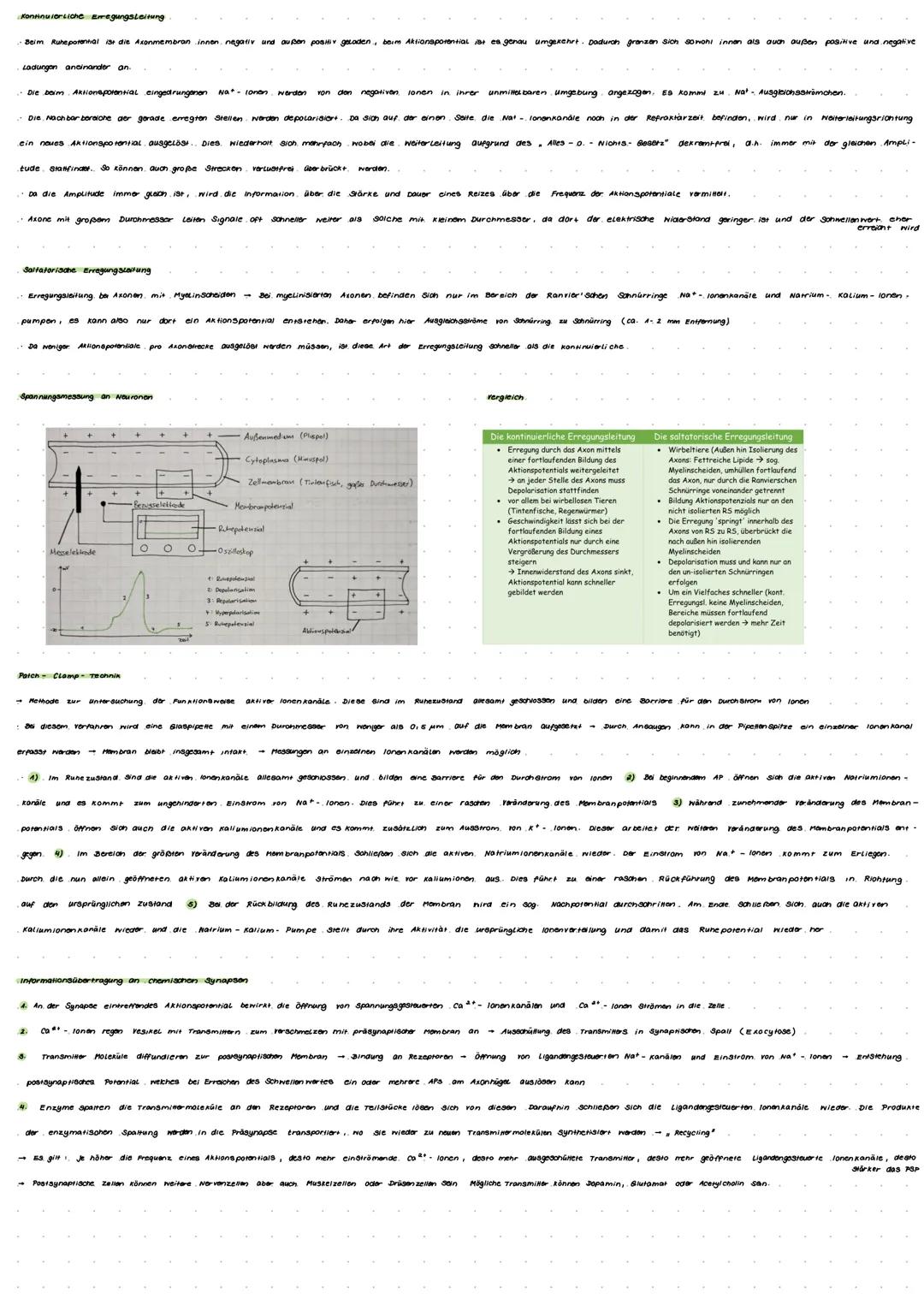 # LERNZETTEL

## Neurobiolgie

-> Nervenzellen / Neuronen sind die Grundbausteine des Nervensystems: Informationen werden empfangen, verarbe