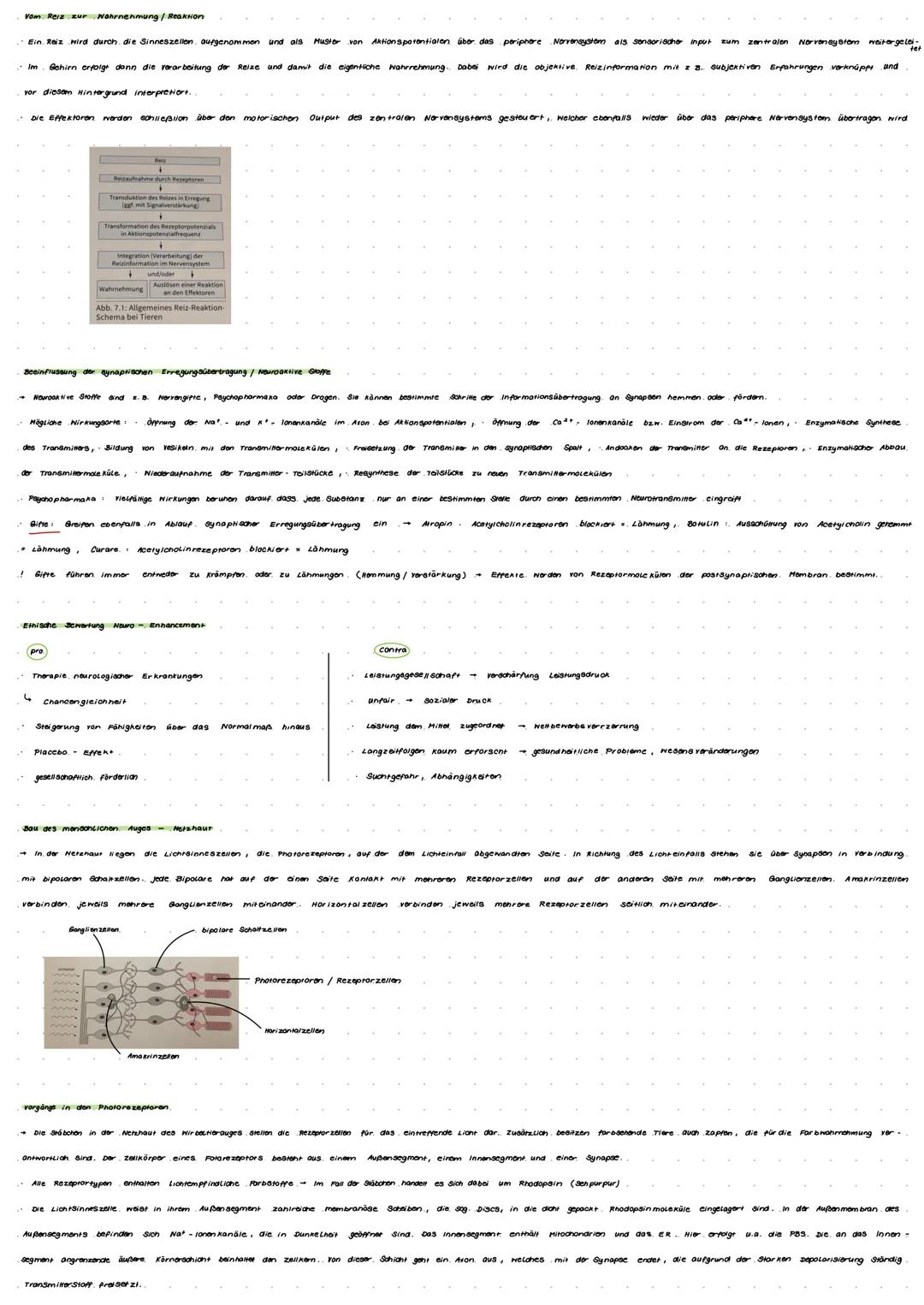 # LERNZETTEL

## Neurobiolgie

-> Nervenzellen / Neuronen sind die Grundbausteine des Nervensystems: Informationen werden empfangen, verarbe