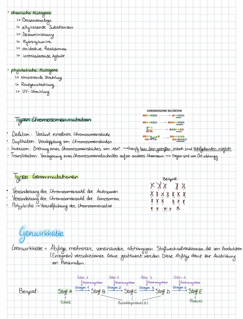 Lo
Informationen
beteiligt sind.
die Transkription
Stopp-Sequenz
(Terminator)
4
ما
die Bedeutung der Protein biosynthese
Protein biosynthese