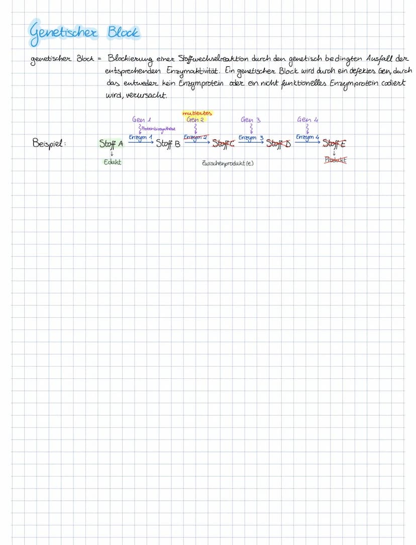Lo
Informationen
beteiligt sind.
die Transkription
Stopp-Sequenz
(Terminator)
4
ما
die Bedeutung der Protein biosynthese
Protein biosynthese