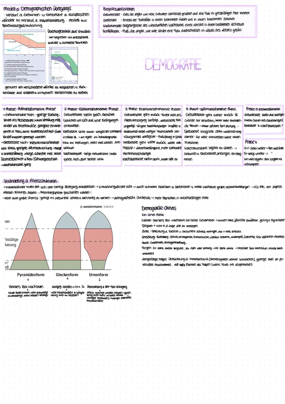 Demografie 