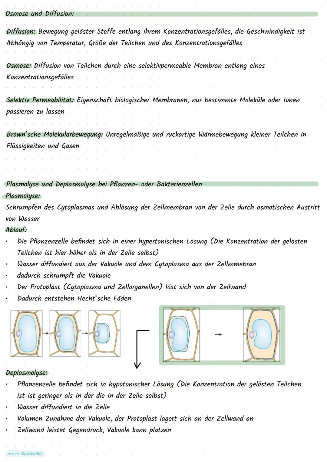 Made with Goodnotes
Stoffwechselphysiologie Die Pflanzen Zelle und ihre Bestandteile:
5.
Funktionen:
Zellkern:
3.
.
Mitochondrien:
2.
.
Golg