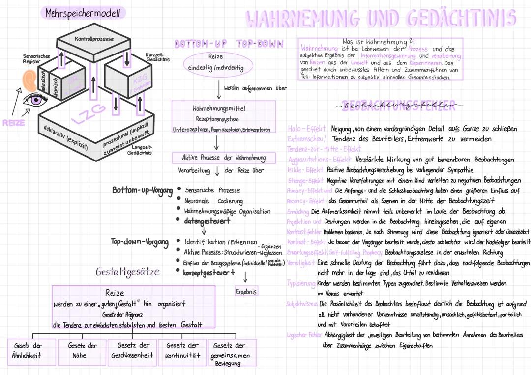 Gestaltgesetze der Wahrnehmung und Gedächtnis einfach erklärt