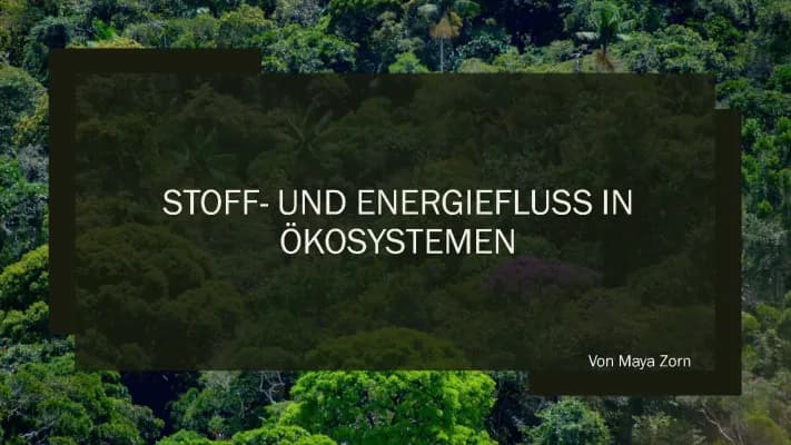 Know Stoff- und Energiefluss in Ökosystemen thumbnail