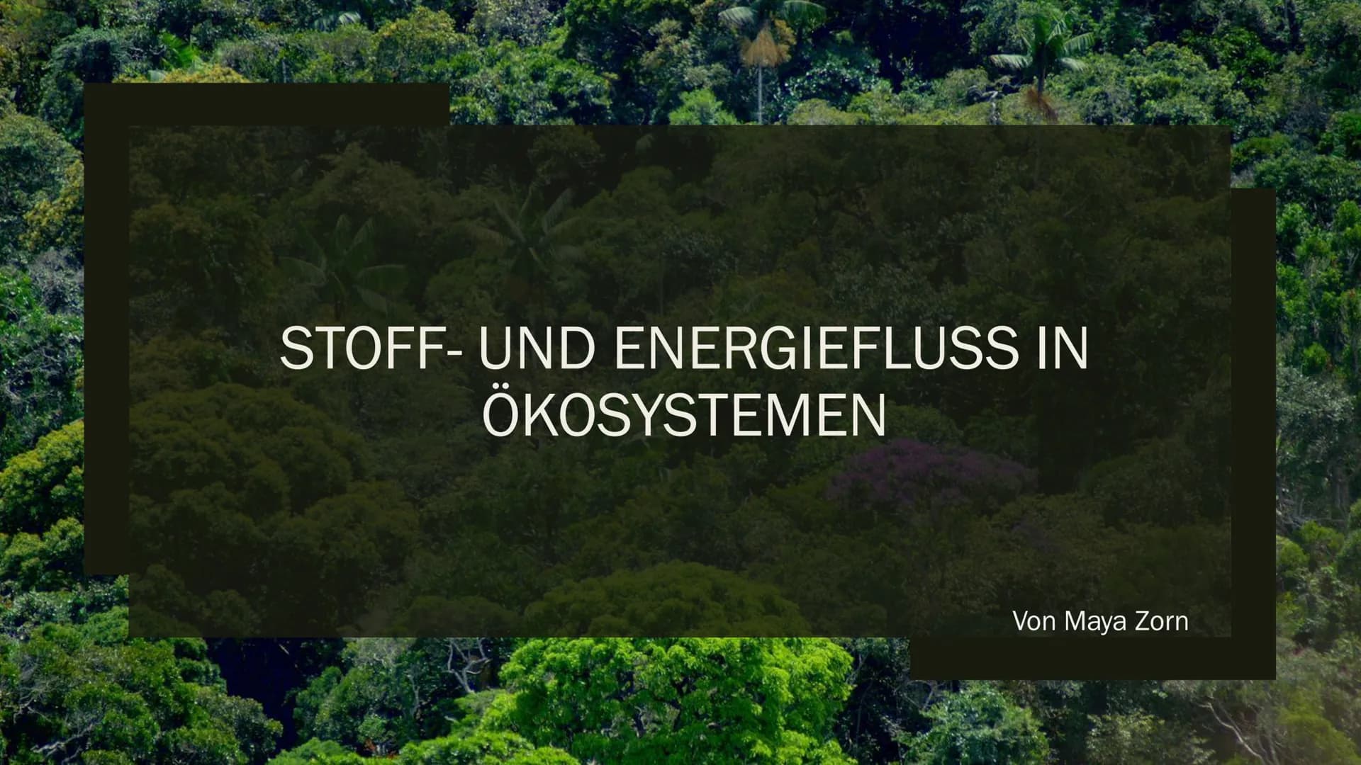 STOFF- UND ENERGIEFLUSS IN
ÖKOSYSTEMEN
Von Maya Zorn Gliederung
1. Stoffkreislauf
2. Energiekreislauf
3. Kohlenstoffkreislauf
4. Stickstoffk