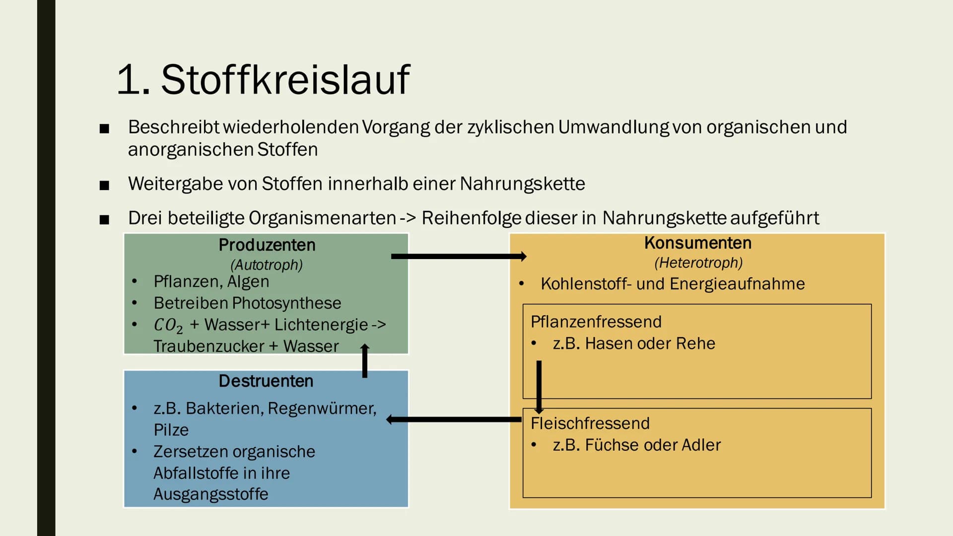 STOFF- UND ENERGIEFLUSS IN
ÖKOSYSTEMEN
Von Maya Zorn Gliederung
1. Stoffkreislauf
2. Energiekreislauf
3. Kohlenstoffkreislauf
4. Stickstoffk