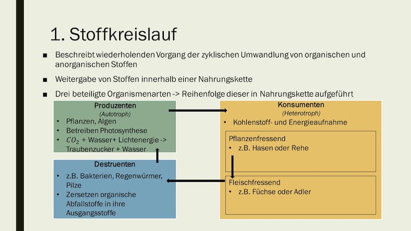 STOFF- UND ENERGIEFLUSS IN
ÖKOSYSTEMEN
Von Maya Zorn Gliederung
1. Stoffkreislauf
2. Energiekreislauf
3. Kohlenstoffkreislauf
4. Stickstoffk