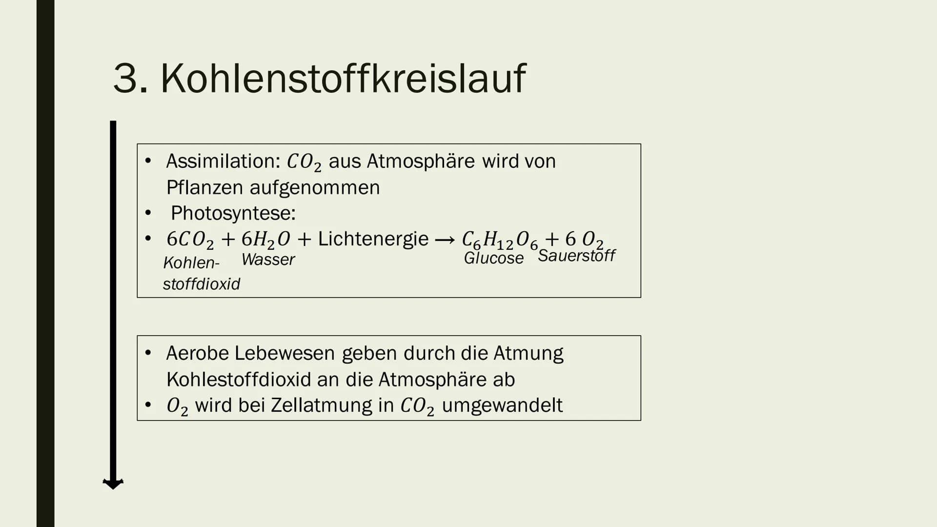 STOFF- UND ENERGIEFLUSS IN
ÖKOSYSTEMEN
Von Maya Zorn Gliederung
1. Stoffkreislauf
2. Energiekreislauf
3. Kohlenstoffkreislauf
4. Stickstoffk