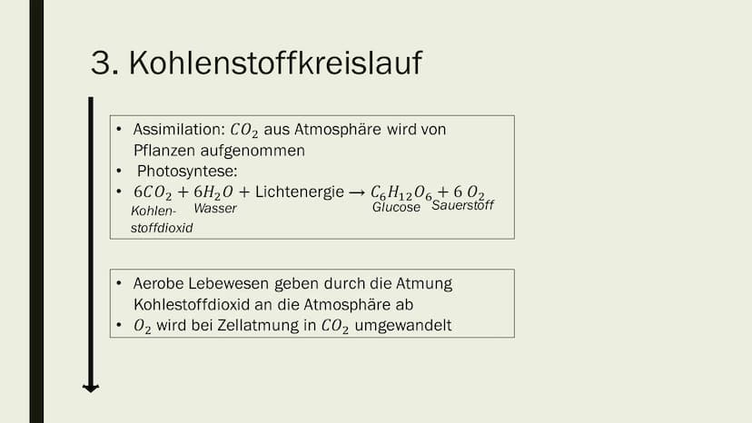 STOFF- UND ENERGIEFLUSS IN
ÖKOSYSTEMEN
Von Maya Zorn Gliederung
1. Stoffkreislauf
2. Energiekreislauf
3. Kohlenstoffkreislauf
4. Stickstoffk