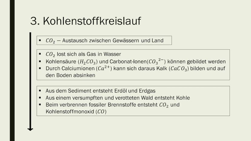STOFF- UND ENERGIEFLUSS IN
ÖKOSYSTEMEN
Von Maya Zorn Gliederung
1. Stoffkreislauf
2. Energiekreislauf
3. Kohlenstoffkreislauf
4. Stickstoffk