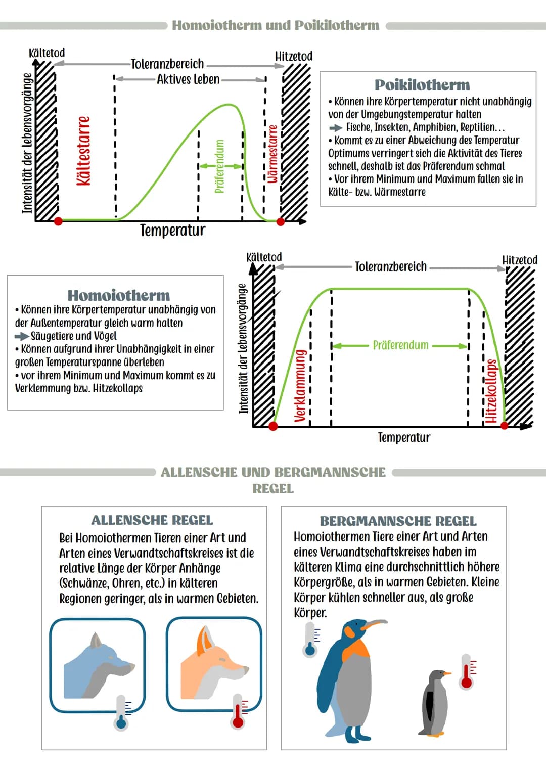 Reaktion der Lebewesen
Minimum
Pessimum
Ökologie
Optimum
Präferendum
Wasser
• Wesentlicher und lebensnotwendiger Bestandteil von Lebewesen
(