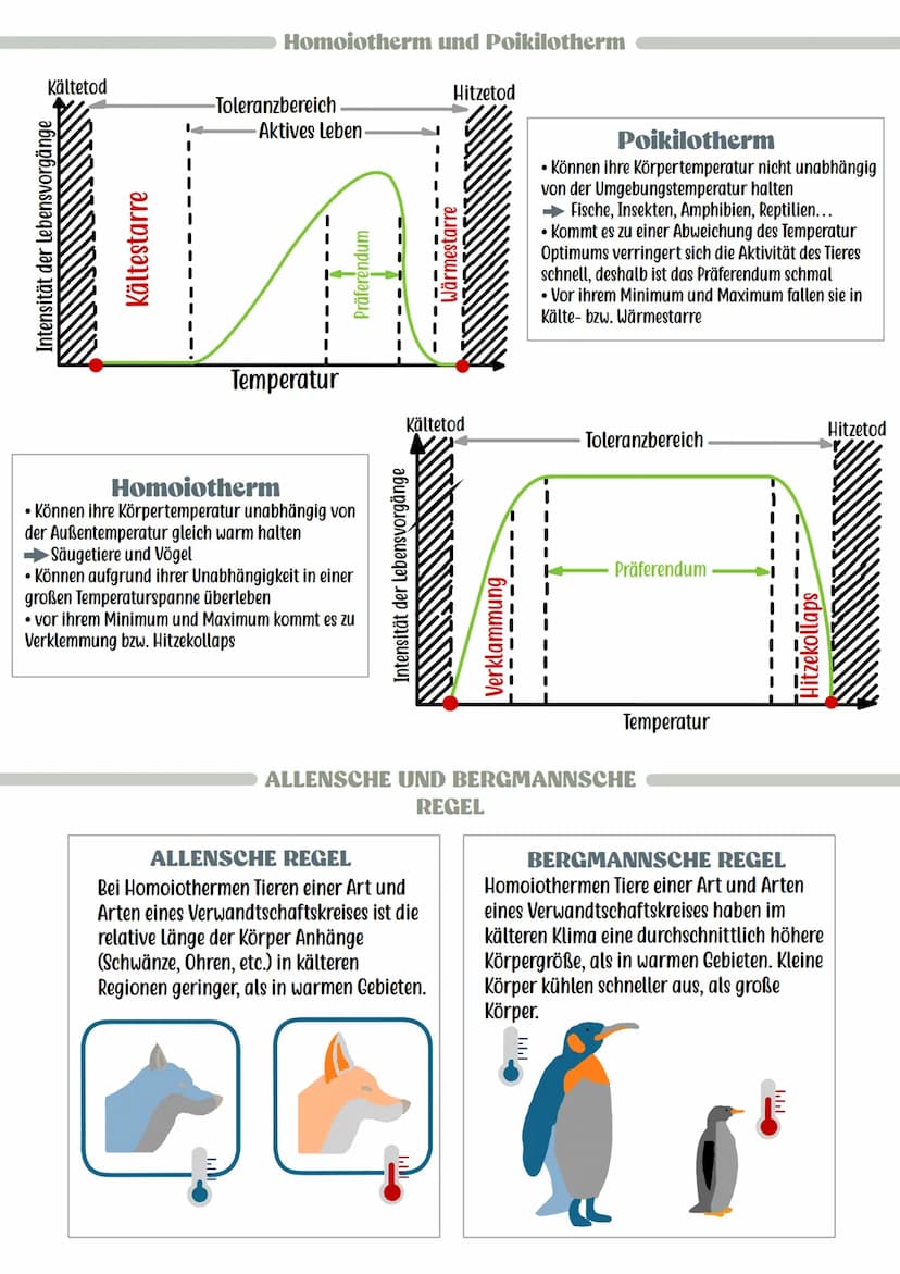 Reaktion der Lebewesen
Minimum
Pessimum
Ökologie
Optimum
Präferendum
Wasser
• Wesentlicher und lebensnotwendiger Bestandteil von Lebewesen
(