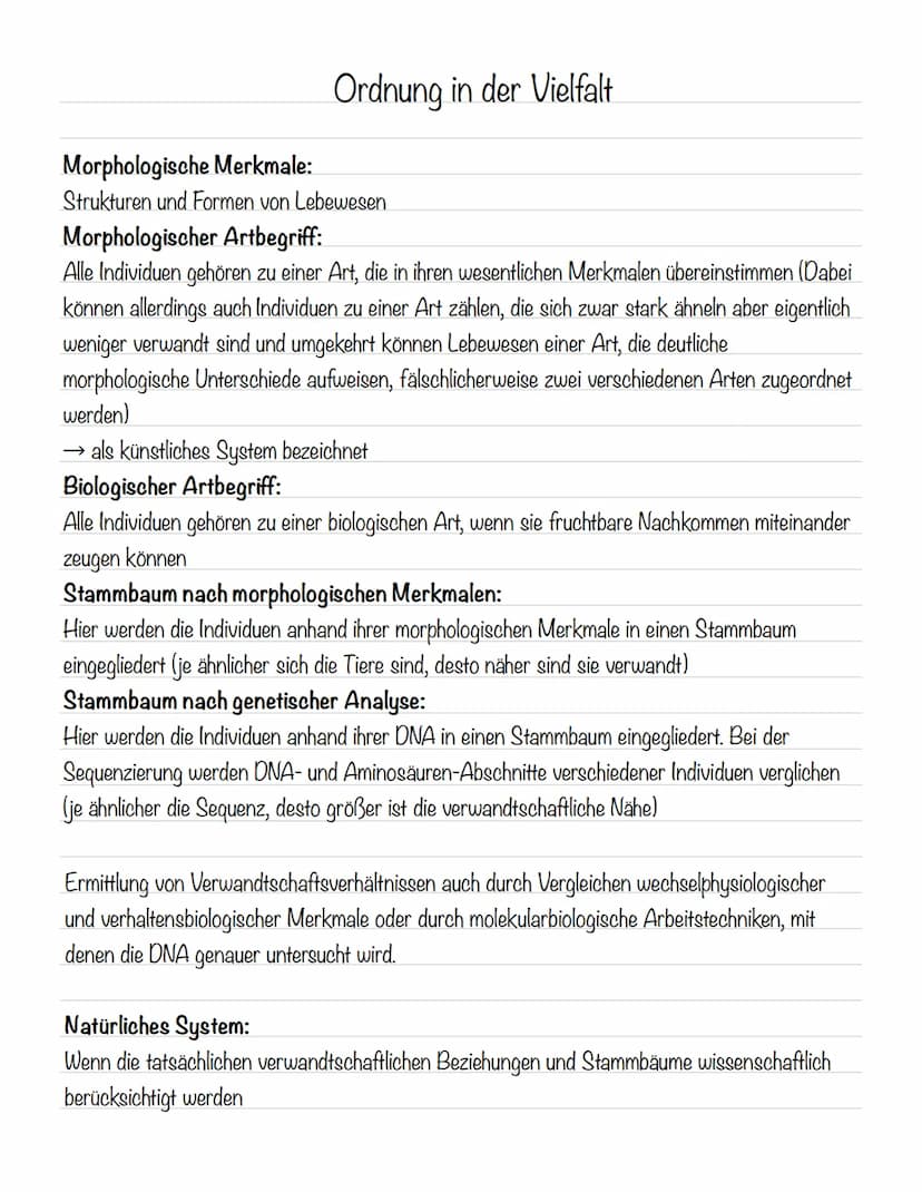  Ordnung in der Vielfalt
Morphologische Merkmale:
Strukturen und Formen von Lebewesen
Morphologischer Artbegriff:
Alle Individuen gehören zu