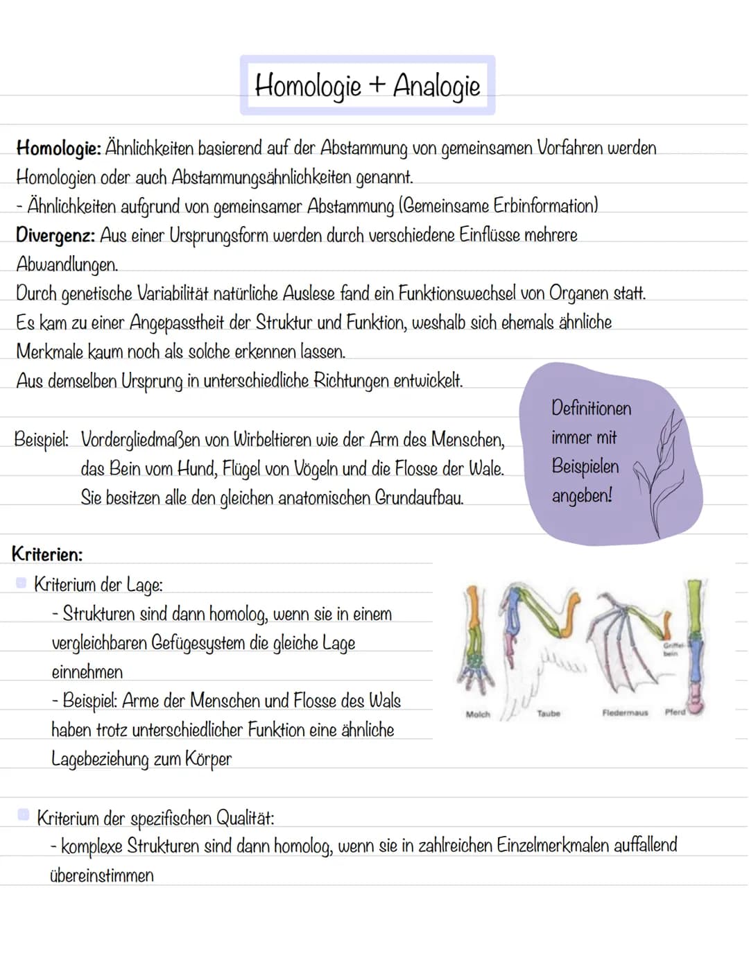  Ordnung in der Vielfalt
Morphologische Merkmale:
Strukturen und Formen von Lebewesen
Morphologischer Artbegriff:
Alle Individuen gehören zu
