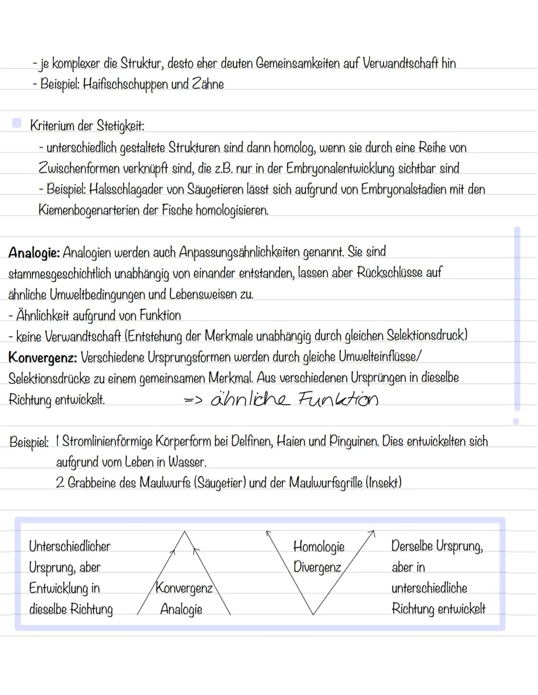  Ordnung in der Vielfalt
Morphologische Merkmale:
Strukturen und Formen von Lebewesen
Morphologischer Artbegriff:
Alle Individuen gehören zu