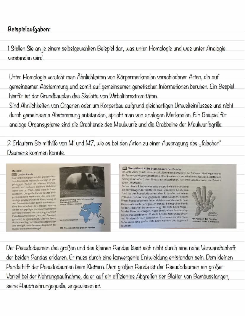  Ordnung in der Vielfalt
Morphologische Merkmale:
Strukturen und Formen von Lebewesen
Morphologischer Artbegriff:
Alle Individuen gehören zu