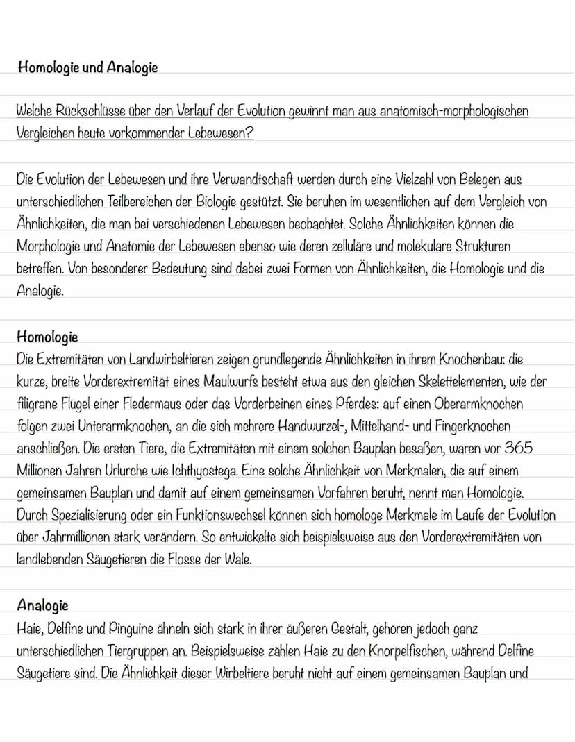  Ordnung in der Vielfalt
Morphologische Merkmale:
Strukturen und Formen von Lebewesen
Morphologischer Artbegriff:
Alle Individuen gehören zu