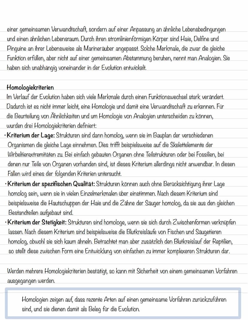  Ordnung in der Vielfalt
Morphologische Merkmale:
Strukturen und Formen von Lebewesen
Morphologischer Artbegriff:
Alle Individuen gehören zu
