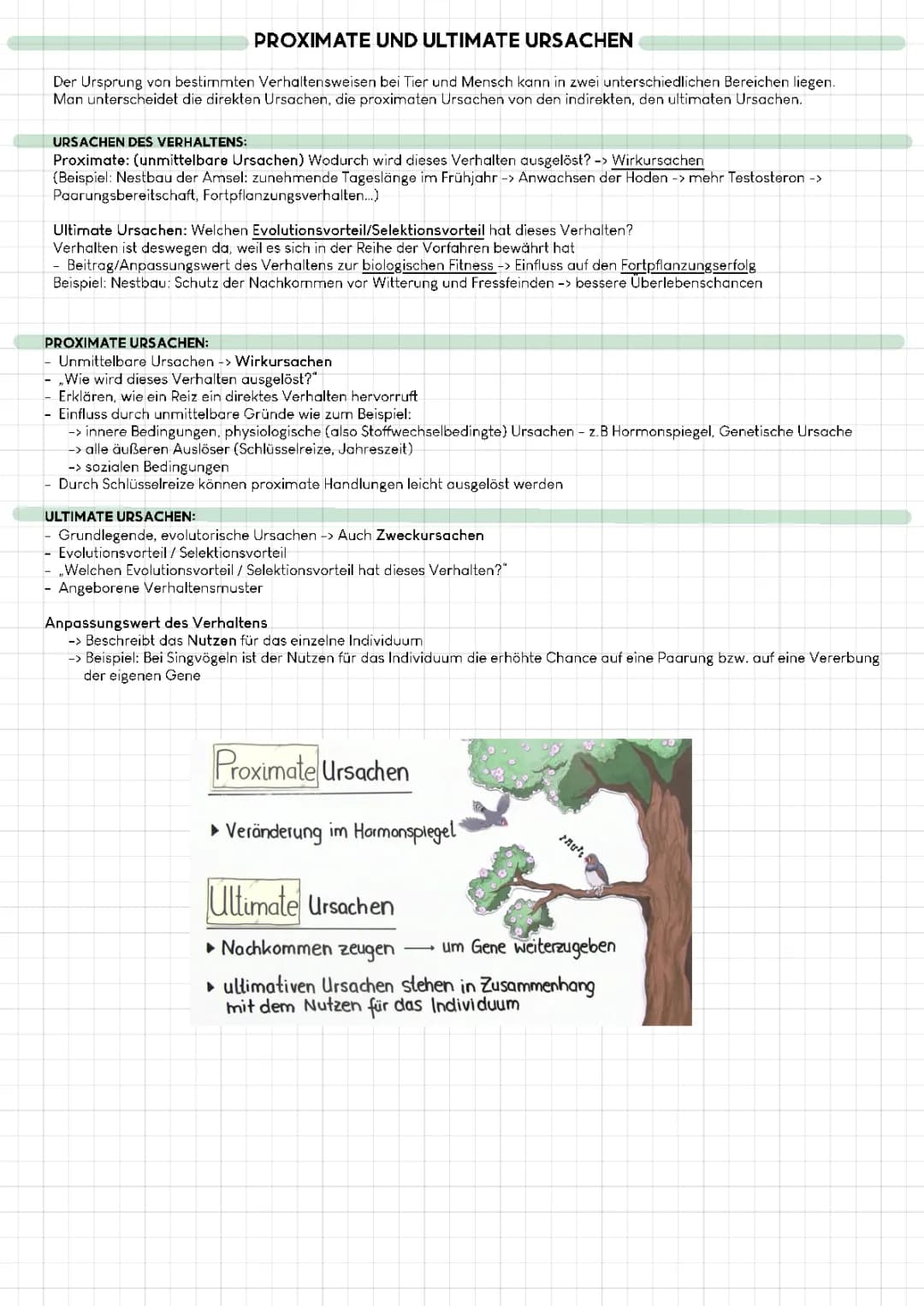 Proximate und Ultimate Ursachen (Verhaltensbiologie)