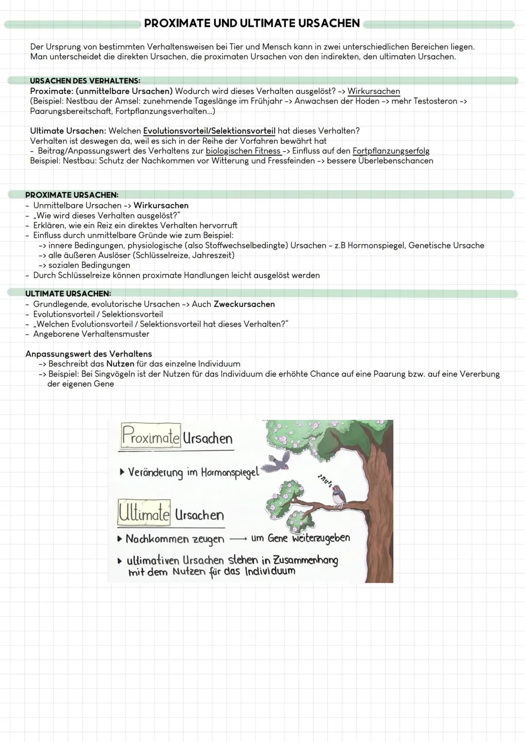 PROXIMATE UND ULTIMATE URSACHEN
Der Ursprung von bestimmten Verhaltensweisen bei Tier und Mensch kann in zwei unterschiedlichen Bereichen li
