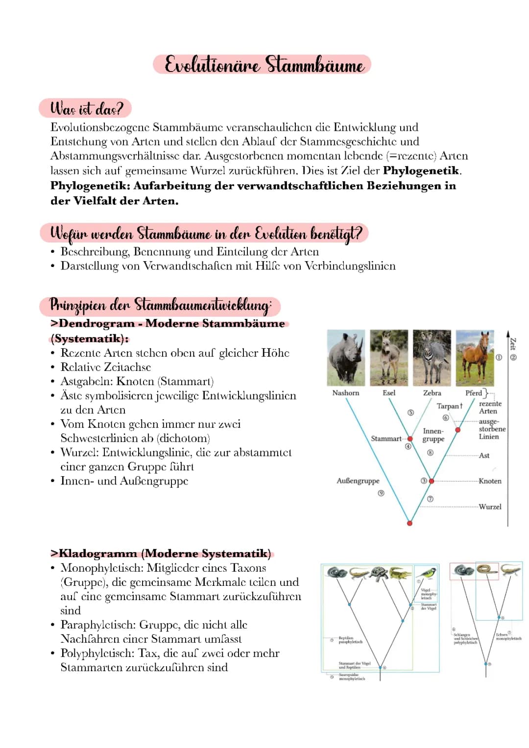 Evolution Stammbäume 