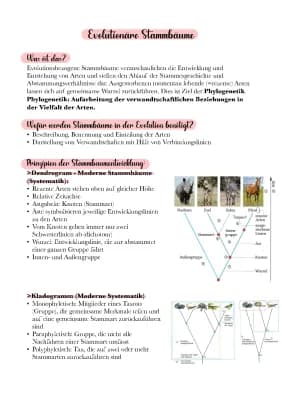 Know Evolution Stammbäume  thumbnail