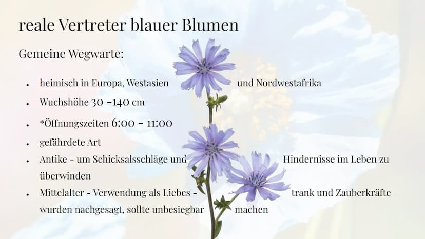 Die Sehnsucht
nach der blauen Blume
Die Romantik Sebastian Hinz
Thüringenkolleg
K Gliederung:
●
●
●
●
●
●
●
●
●
die Farbe Blau
Warum Blumen 