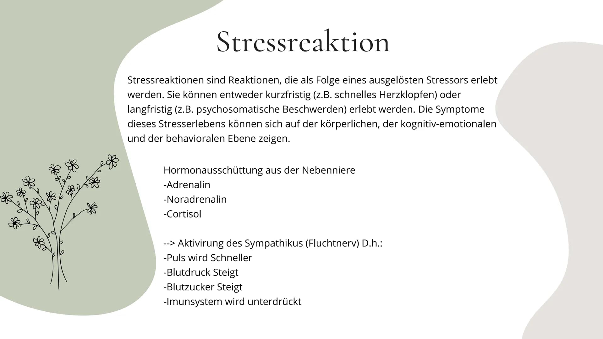 Stress
MENTALE
GESUNDHEIT Agenda
ΟΙ
02
03
04
05
об
Definition
Stressarten
Prositiver-, Negativerstress
Stressreaktion
Körperliche-, Emotiona