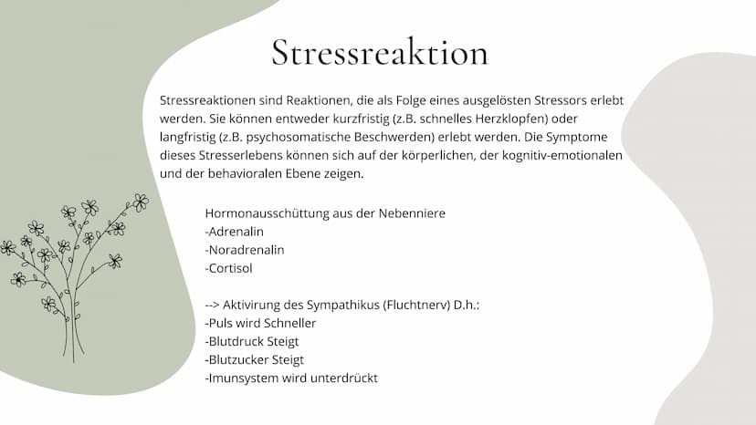 Stress
MENTALE
GESUNDHEIT Agenda
ΟΙ
02
03
04
05
об
Definition
Stressarten
Prositiver-, Negativerstress
Stressreaktion
Körperliche-, Emotiona