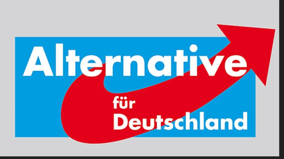 AfD Präsentation für die Schule: Vorlagen und Infos zum Wahlprogramm 2024