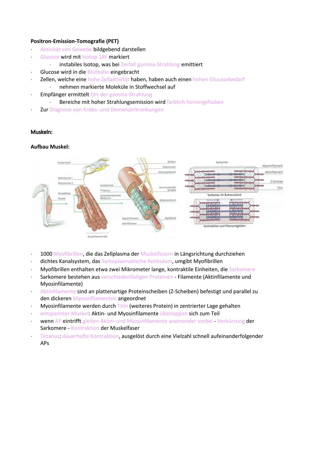 Neurobiologie
Reiz-Reaktionsschema:
Reiz wird über Sinnesorgan
aufgenommen und in ein
elektrisches Signal
umgewandelt
Bau der Nervenzelle:
S