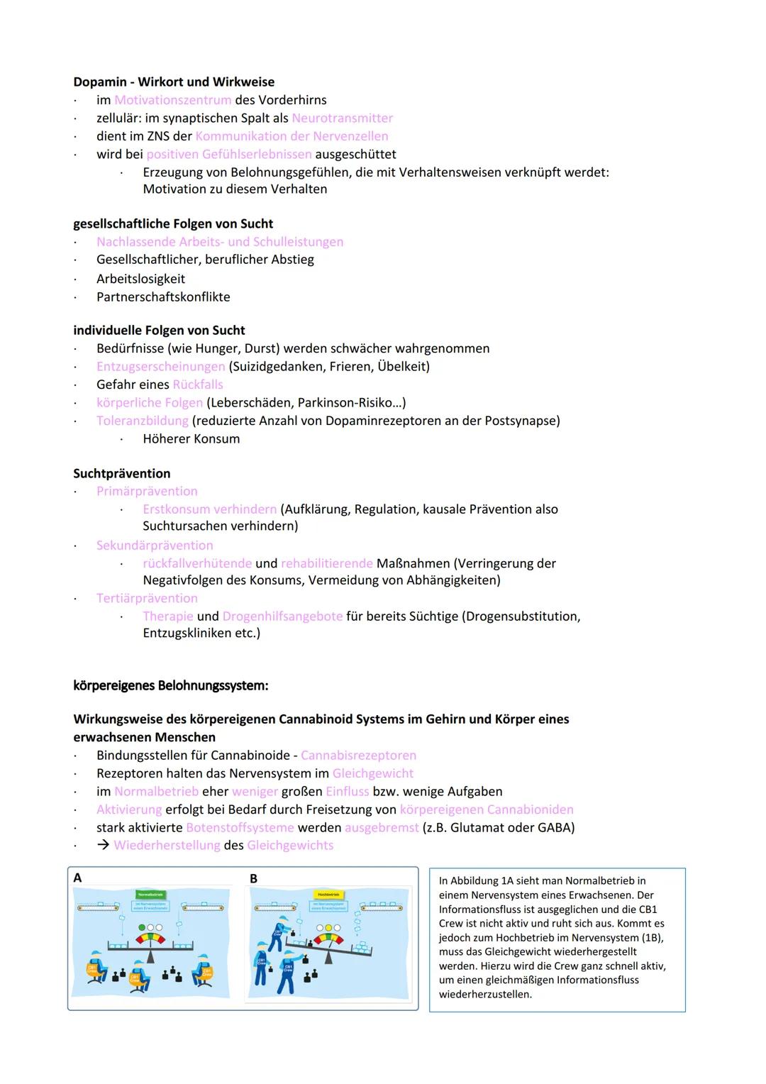 Neurobiologie
Reiz-Reaktionsschema:
Reiz wird über Sinnesorgan
aufgenommen und in ein
elektrisches Signal
umgewandelt
Bau der Nervenzelle:
S