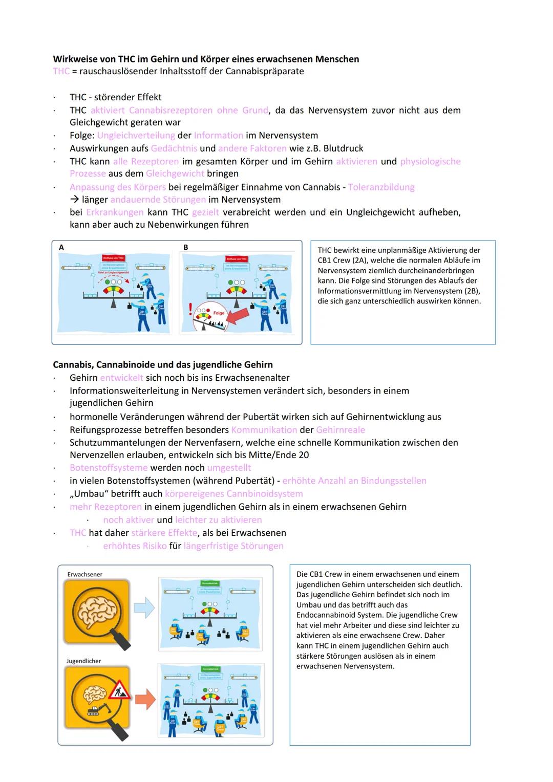 Neurobiologie
Reiz-Reaktionsschema:
Reiz wird über Sinnesorgan
aufgenommen und in ein
elektrisches Signal
umgewandelt
Bau der Nervenzelle:
S