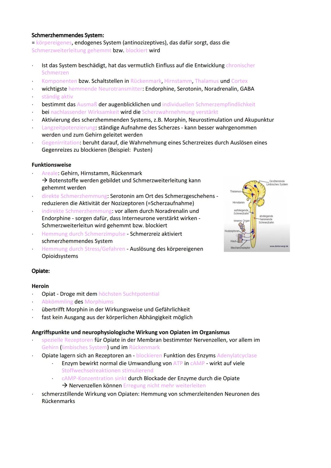 Neurobiologie
Reiz-Reaktionsschema:
Reiz wird über Sinnesorgan
aufgenommen und in ein
elektrisches Signal
umgewandelt
Bau der Nervenzelle:
S