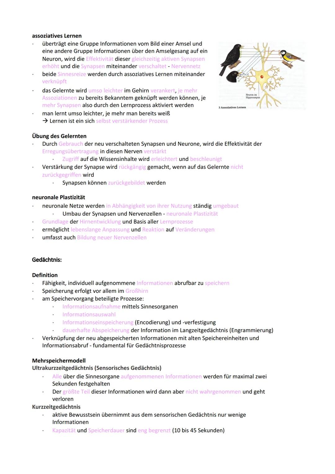 Neurobiologie
Reiz-Reaktionsschema:
Reiz wird über Sinnesorgan
aufgenommen und in ein
elektrisches Signal
umgewandelt
Bau der Nervenzelle:
S