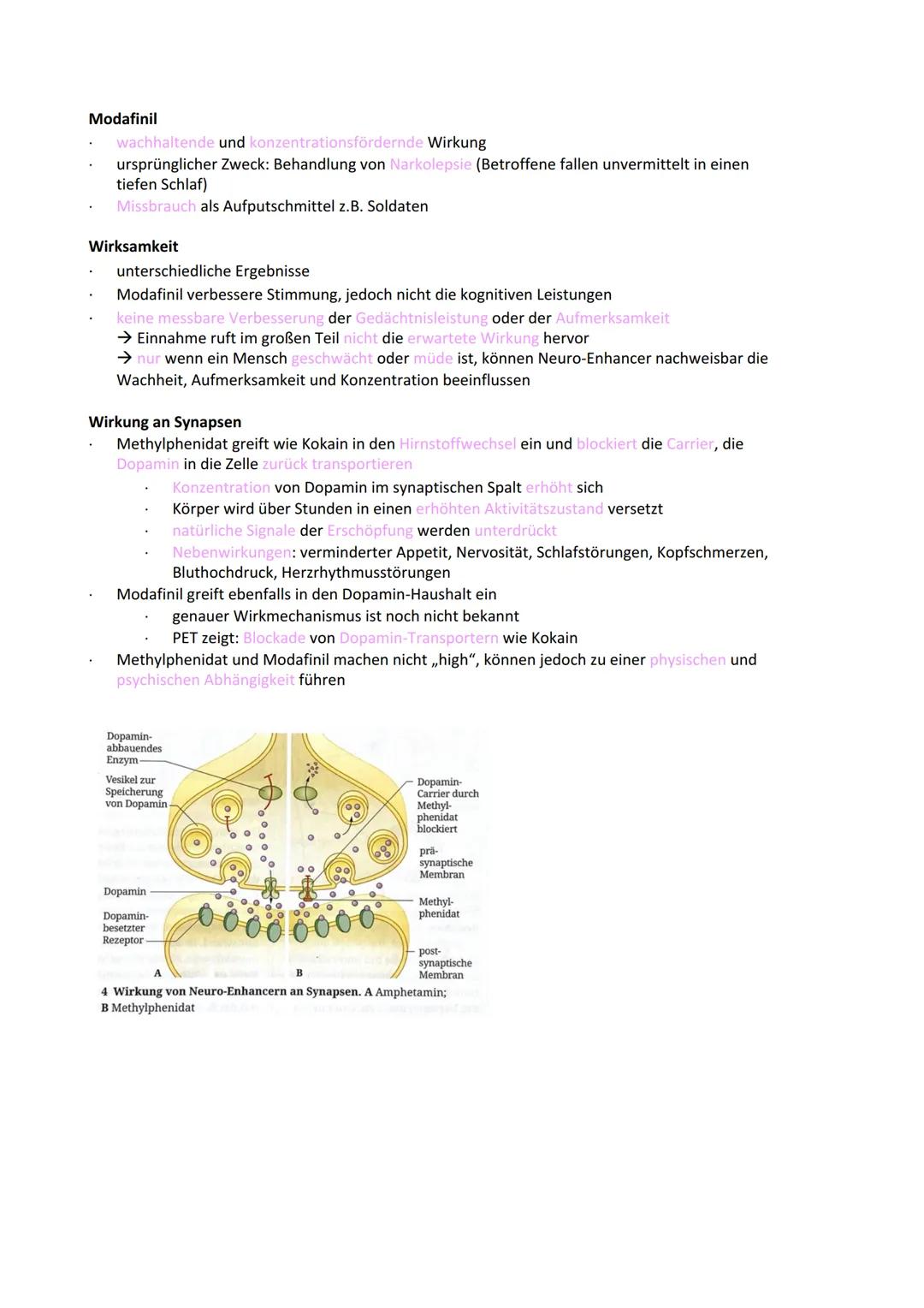 Neurobiologie
Reiz-Reaktionsschema:
Reiz wird über Sinnesorgan
aufgenommen und in ein
elektrisches Signal
umgewandelt
Bau der Nervenzelle:
S