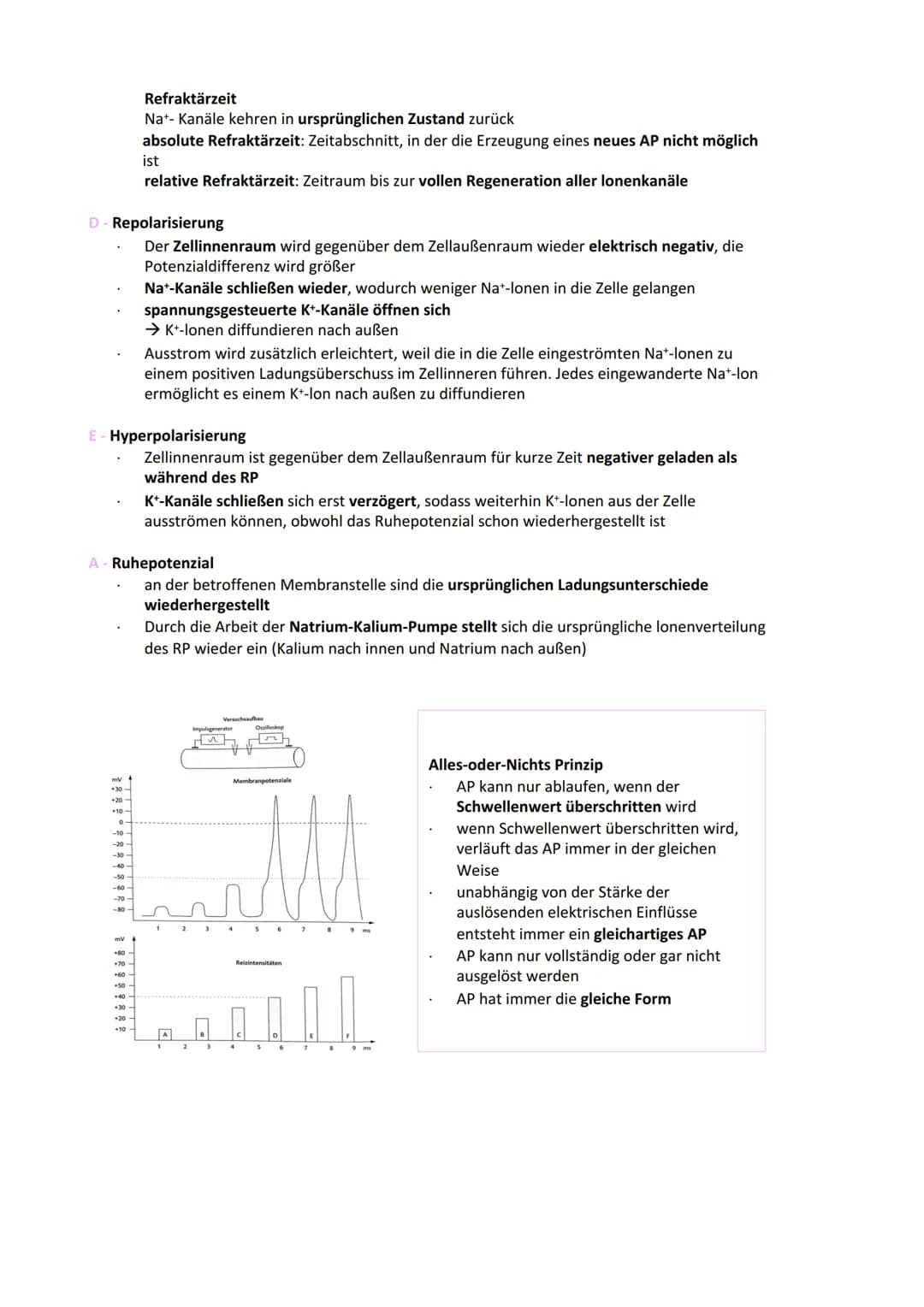 Neurobiologie
Reiz-Reaktionsschema:
Reiz wird über Sinnesorgan
aufgenommen und in ein
elektrisches Signal
umgewandelt
Bau der Nervenzelle:
S