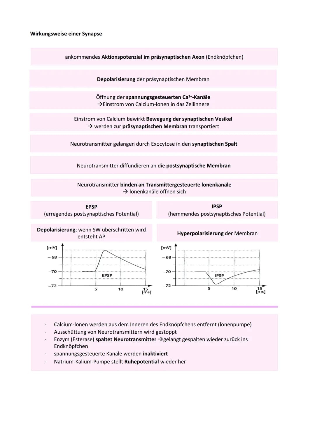 Neurobiologie
Reiz-Reaktionsschema:
Reiz wird über Sinnesorgan
aufgenommen und in ein
elektrisches Signal
umgewandelt
Bau der Nervenzelle:
S