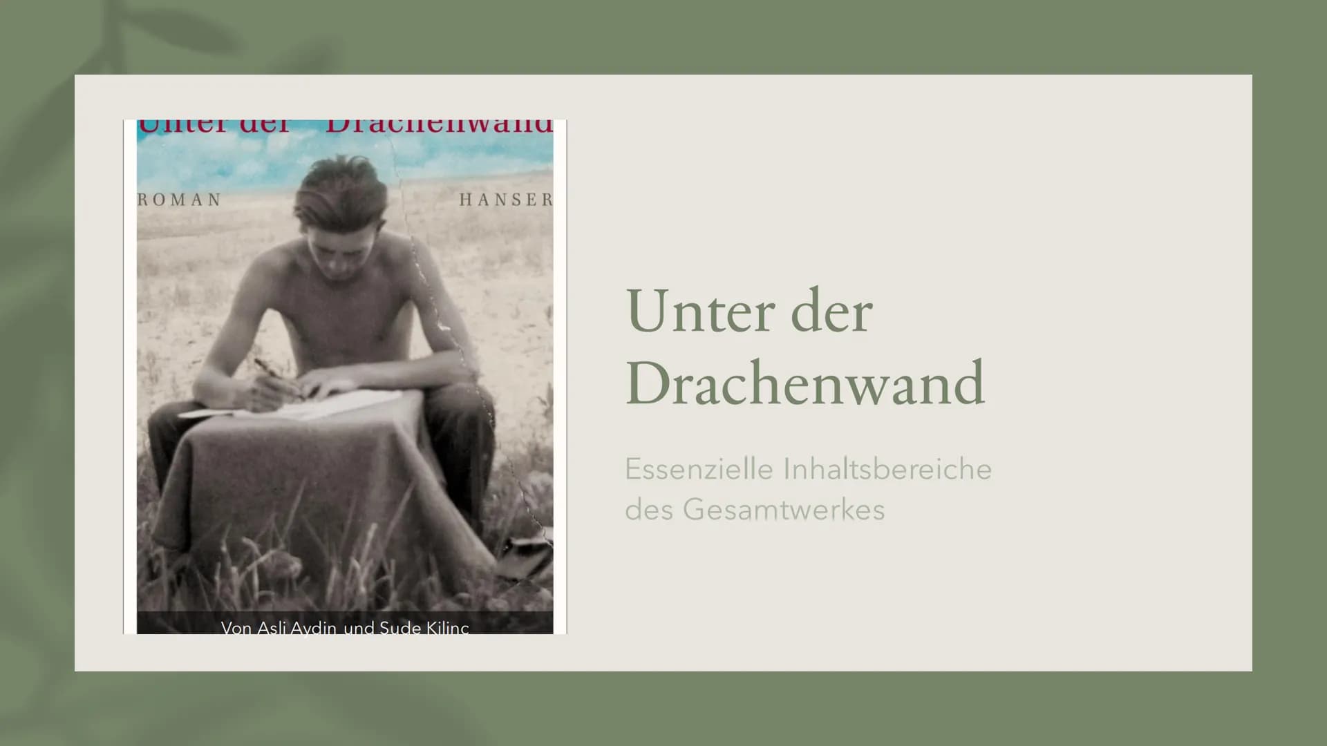 Unter uch Diacheniwallu
ROMAN
HANSER
Von Asli Aydin und Sude Kilinc
Unter der
Drachenwand
Essenzielle Inhaltsbereiche
des Gesamtwerkes Thema