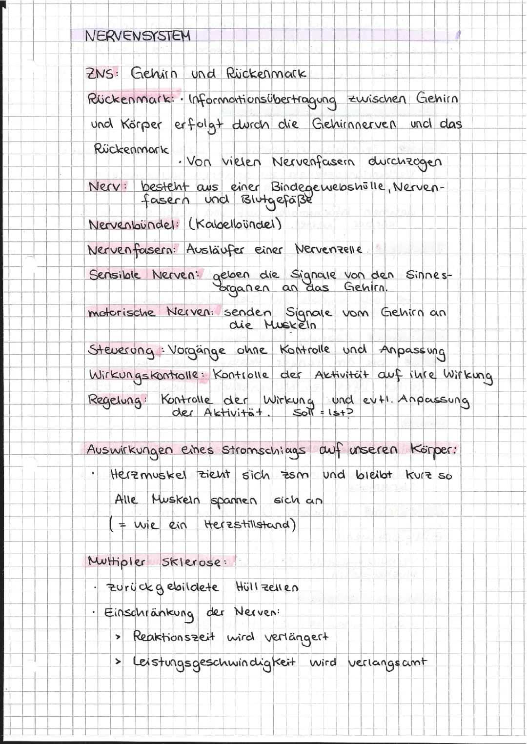 Nervensystem