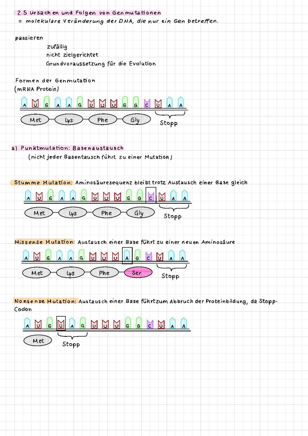 Genmutation: Was ist das? Beispiele und Folgen für Menschen