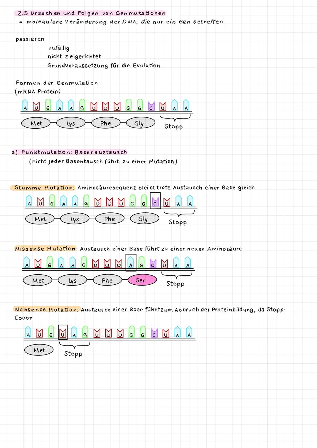 2.5 Ursachen und Folgen von Gen mutationen.
= molekulare Veränderung der DNA, die nur ein Gen betreffen.
passieren
Formen der Genmutation
(m