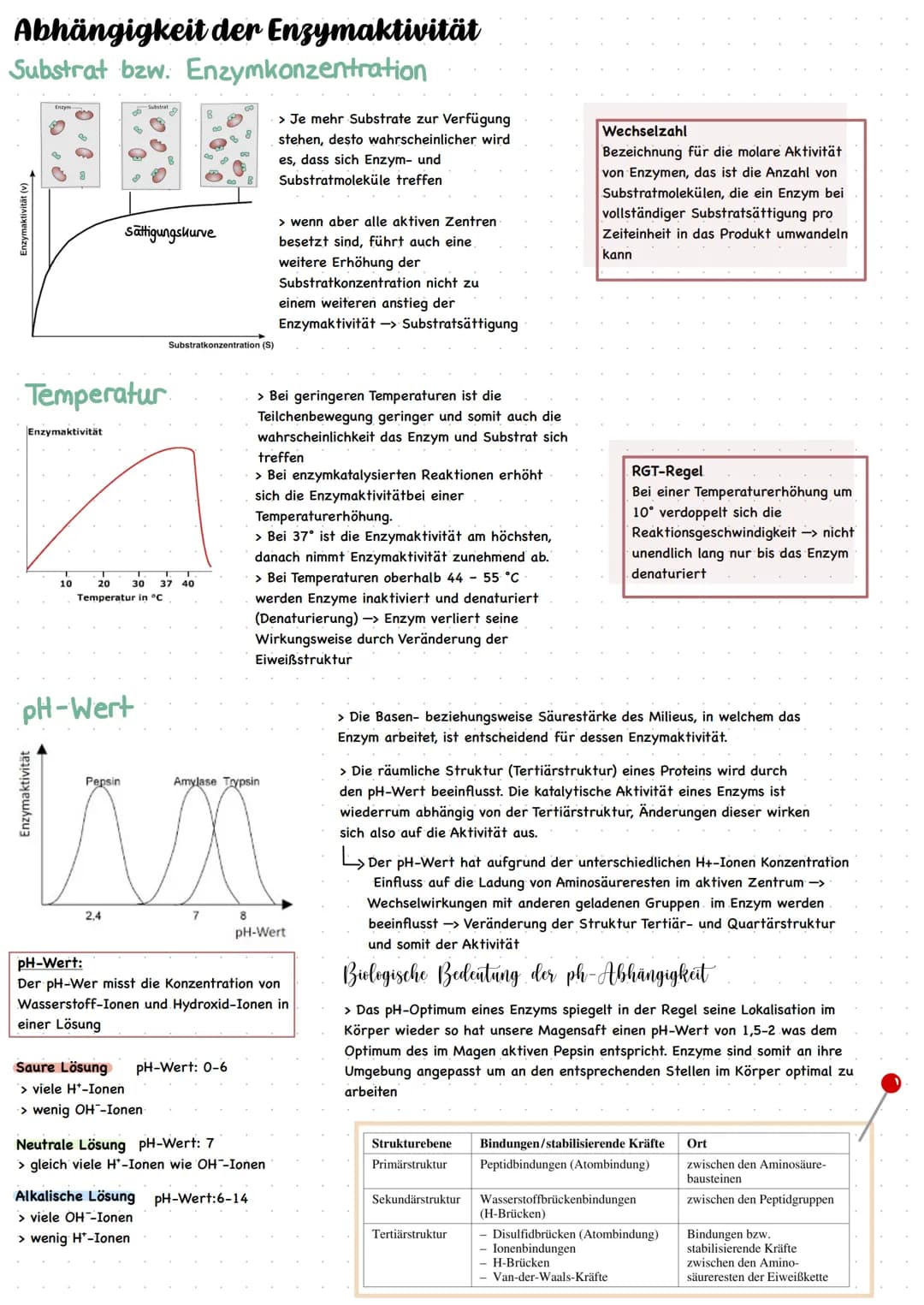 ENZYME = Biokatalysatoren
Enzyme ermöglichen schnelle chemische Reaktionen
I. Verringern die Aktivierungsenergie -> Beschleunigung der Reakt