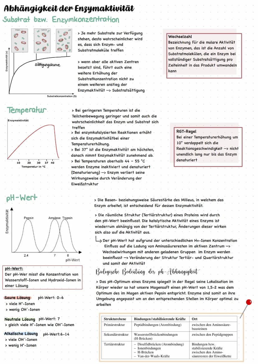 ENZYME = Biokatalysatoren
Enzyme ermöglichen schnelle chemische Reaktionen
I. Verringern die Aktivierungsenergie -> Beschleunigung der Reakt