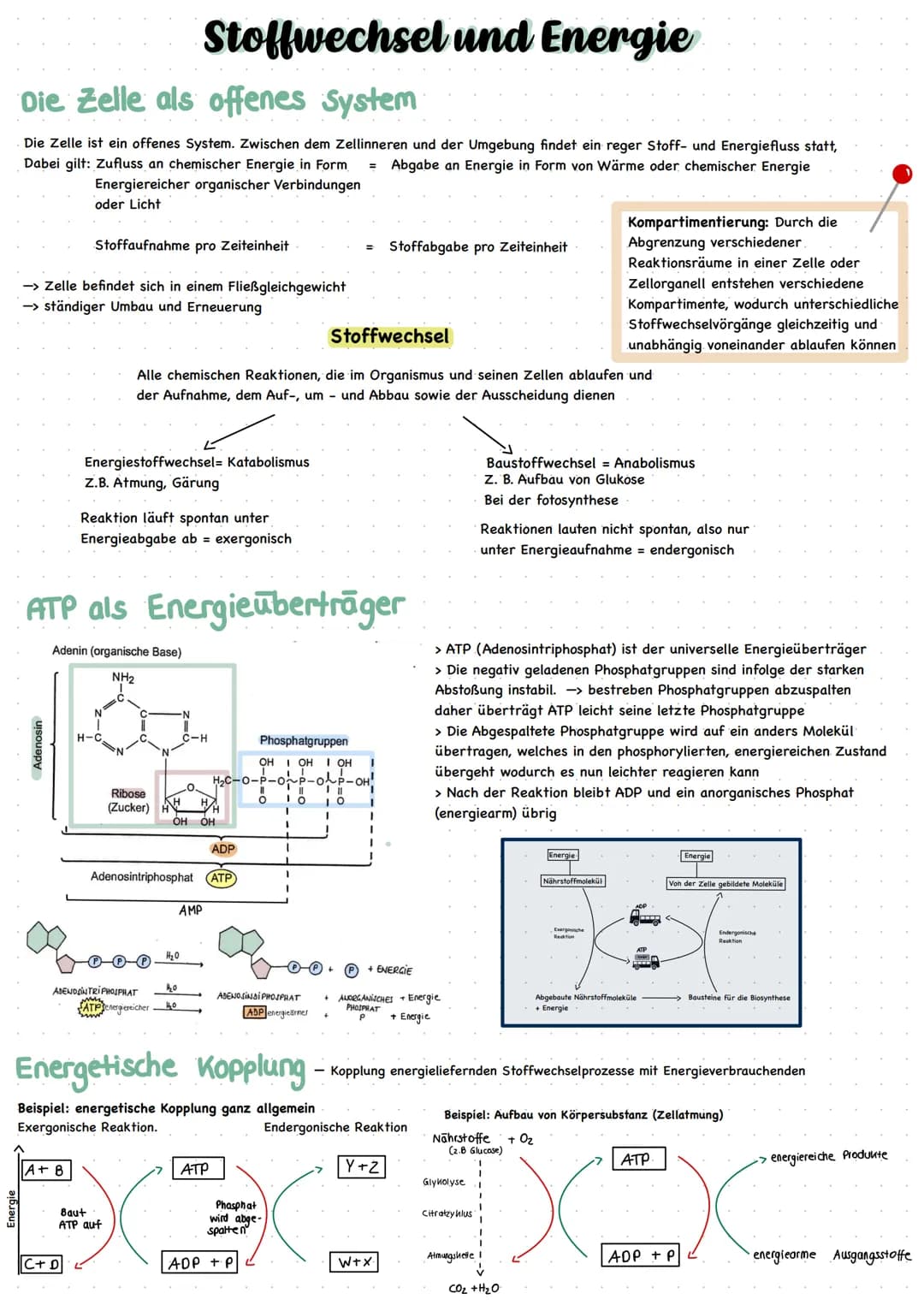 ENZYME = Biokatalysatoren
Enzyme ermöglichen schnelle chemische Reaktionen
I. Verringern die Aktivierungsenergie -> Beschleunigung der Reakt