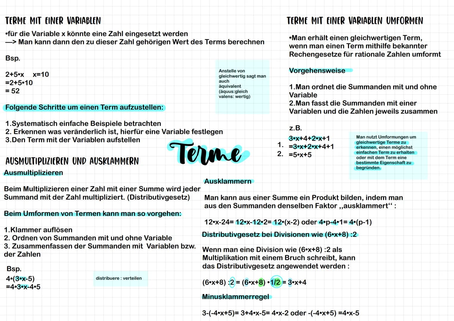 TERME MIT EINER VARIABLEN
für die Variable x könnte eine Zahl eingesetzt werden
-> Man kann dann den zu dieser Zahl gehörigen Wert des Terms