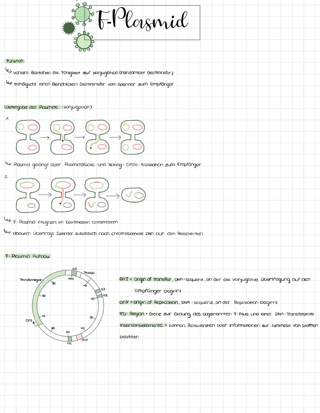 Funktion
مها
Weitergabe der Plasmide (konjugation)
'verleint Bakterien die Fähigkeit zur konjugation (horizontaler Gentransfer)
ermöglicht e